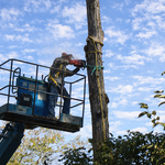 Our Crews in Action