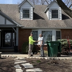Large Tree Removal