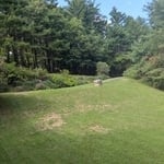 Mowing and lawn care