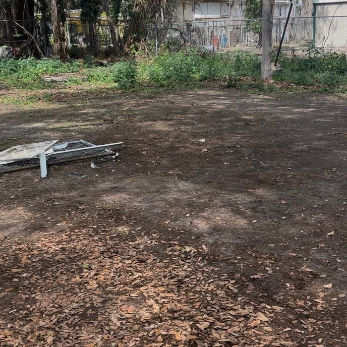 Garage and Yard Clean-Out