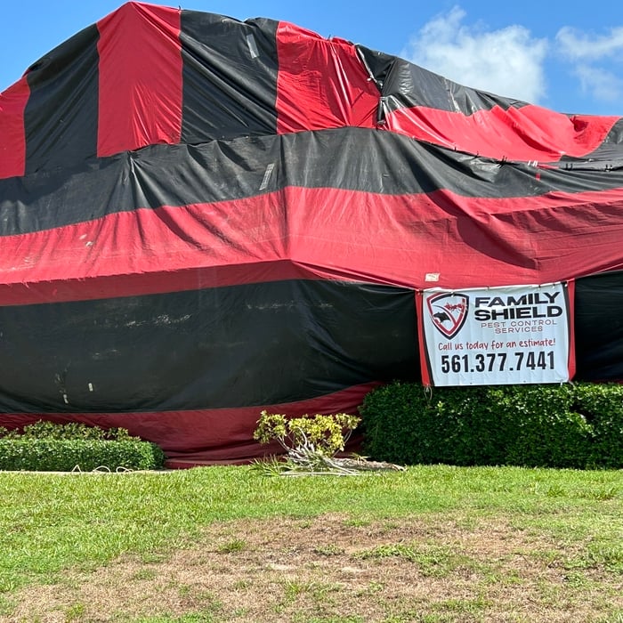 Tenting Fumigation
