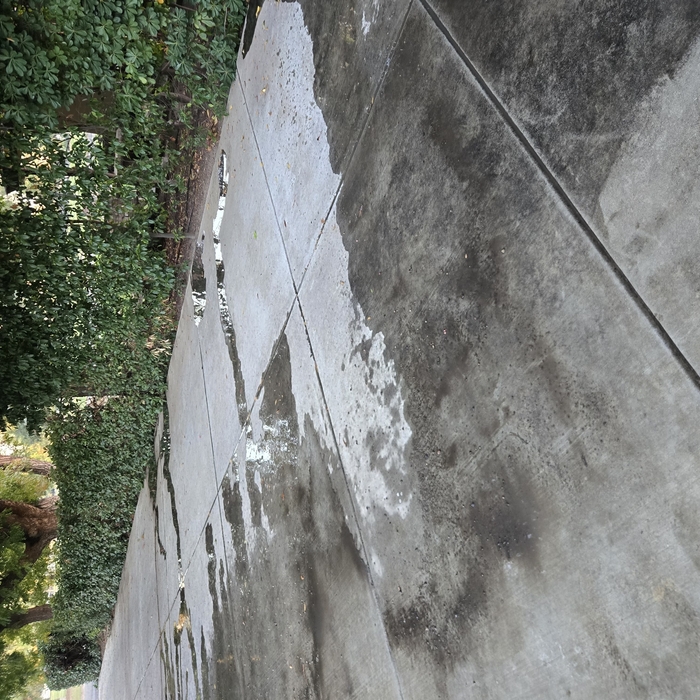 Driveway cleaning