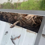 Commercial Leaf Guards