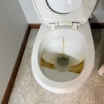 Move out deep clean out