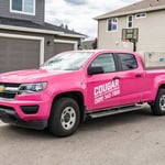 Furnace Tune Up