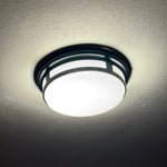 Ceiling light