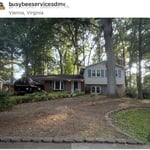 Yard cleanup