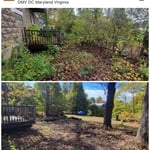 Yard cleanup