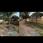 Yard Cleanup