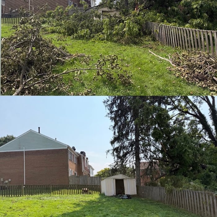 Yard cleanup