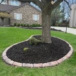 New lawn