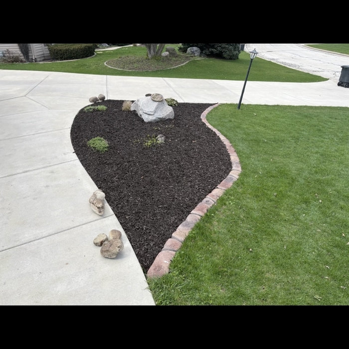 New lawn