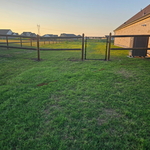 Single Walk Gate