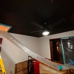 Attic Mold Remediation
