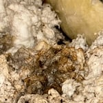 Attic Mold Remediation