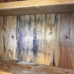 Attic Mold Remediation