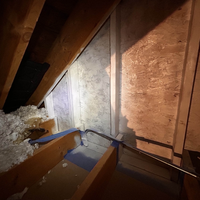 Attic Mold Remediation