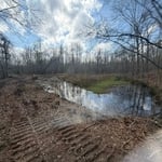 Southern Accents