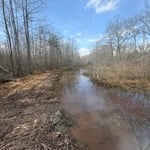 Southern Accents
