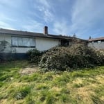 Whole House Reno