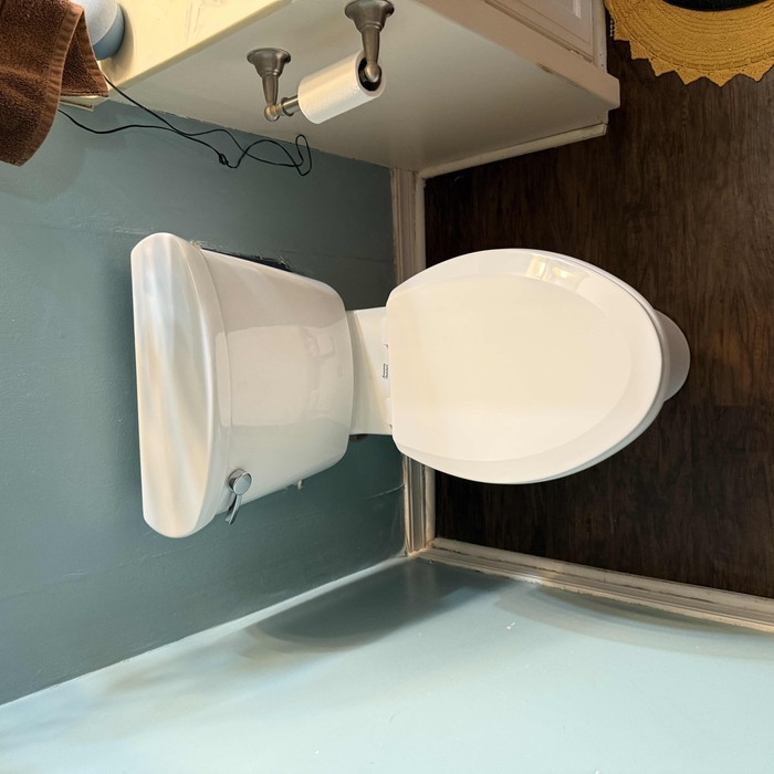 Toilet Replacement