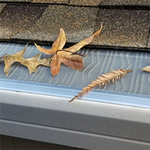 Gutter & Gutter Guards