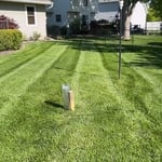 Mowing, mulch