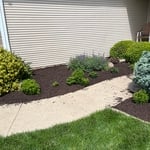 Mowing, mulch