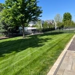 Mowing, mulch