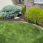 Mowing, mulch