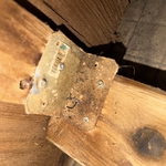 Sauna restoration