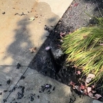 irrigation system repair
