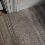 Flooring remodel