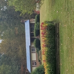 New Metal Roof