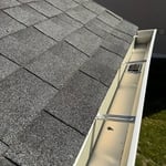 Gutter Cleaning