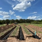 project photos