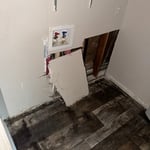 House/yard cleanup