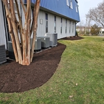 Mulch and edging