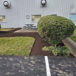 Mulch and edging
