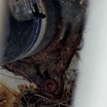 4 Point Inspection