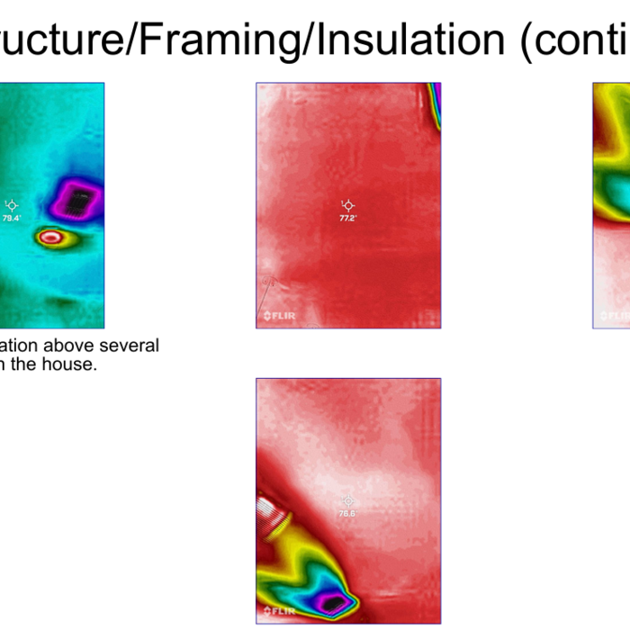 FLIR Scans