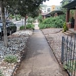 Yard clean up