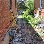 Yard clean up