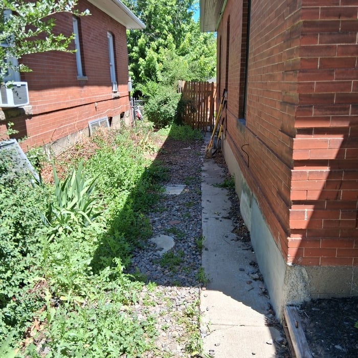 Yard clean up