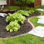 Mulching