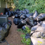 Junk removal
