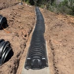 Leech feild expansion