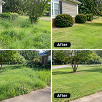 Yards