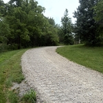 Full drive way revival