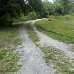 Full drive way revival